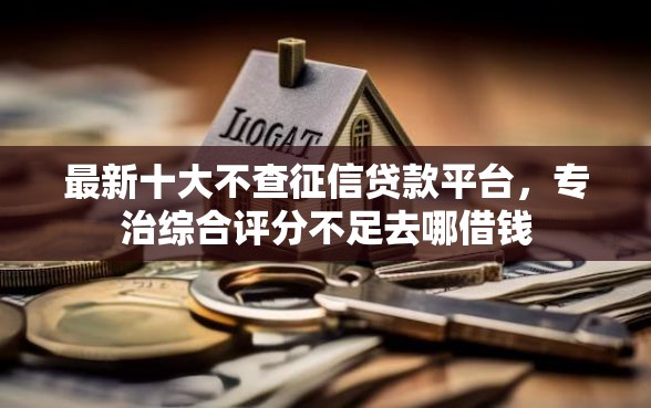 最新十大不查征信贷款平台，专治综合评分不足去哪借钱
