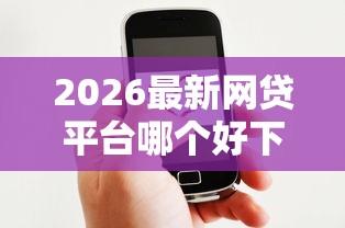 2026最新网贷平台哪个好下款（支持微信），7个黑户借款马上到账的口子无私分享