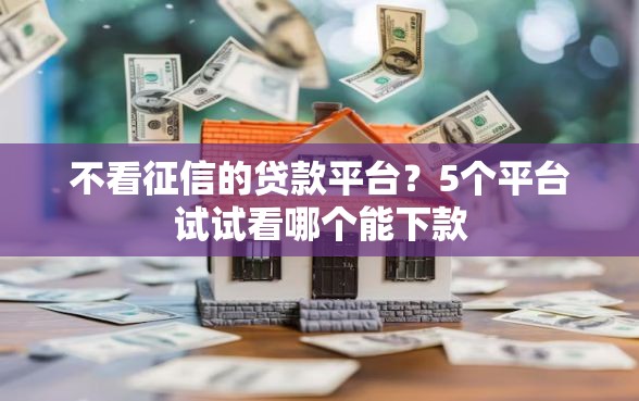 不看征信的贷款平台？5个平台试试看哪个能下款