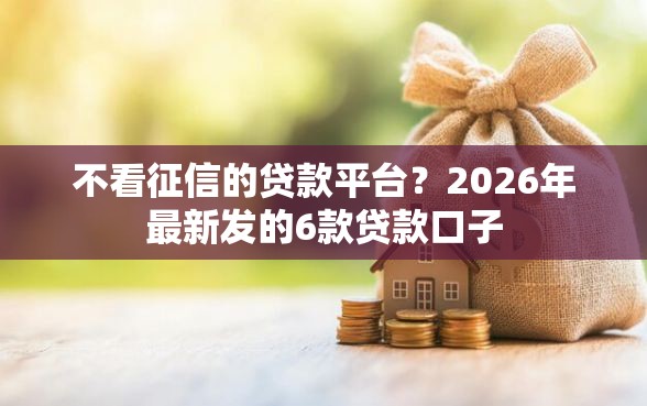 不看征信的贷款平台？2026年最新发的6款贷款口子