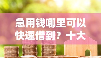 急用钱哪里可以快速借到？十大黑户在平台可以借款推荐