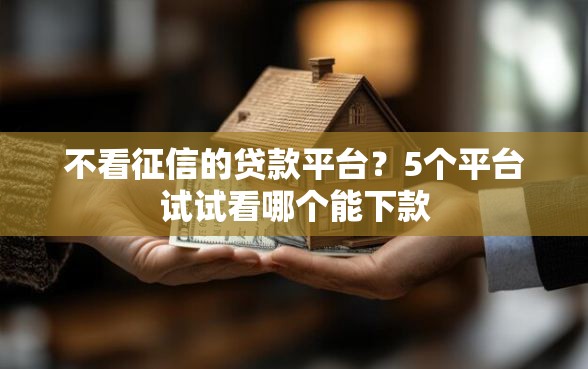 不看征信的贷款平台？5个平台试试看哪个能下款