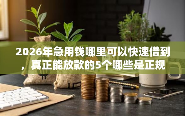 2026年急用钱哪里可以快速借到，真正能放款的5个哪些是正规的网贷平台推荐
