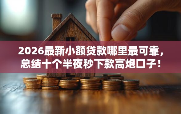 2026最新小额贷款哪里最可靠，总结十个半夜秒下款高炮口子！
