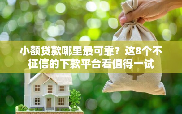 小额贷款哪里最可靠?这8个不征信的下款平台看值得一试 小额贷款哪里最可靠?这8个不征信的下款平台看值得一试