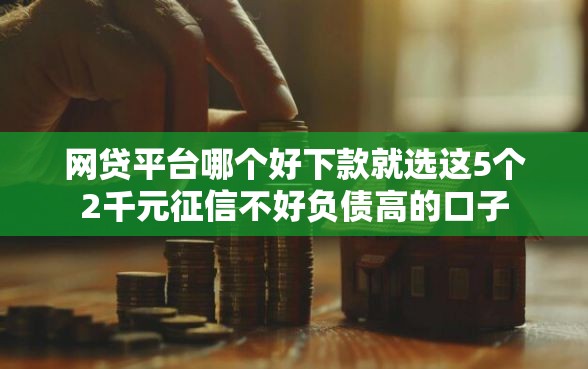 网贷平台哪个好下款就选这5个2千元征信不好负债高的口子