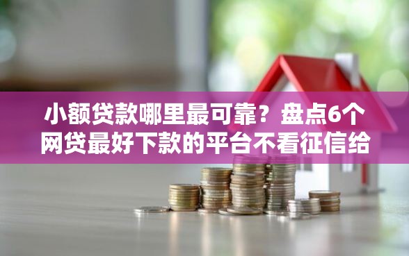 小额贷款哪里最可靠？盘点6个网贷最好下款的平台不看征信给你参考