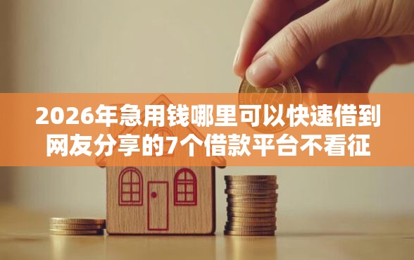 2026年急用钱哪里可以快速借到网友分享的7个借款平台不看征信线上放款快我觉得不错！