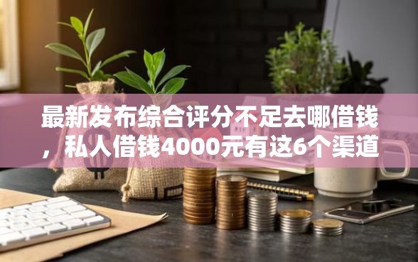 最新发布综合评分不足去哪借钱，私人借钱4000元有这6个渠道