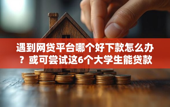 遇到网贷平台哪个好下款怎么办？或可尝试这6个大学生能贷款的平台