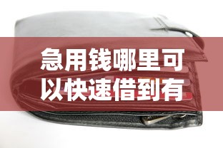 急用钱哪里可以快速借到有哪些？分享5个现在有没有黑户下款的口子