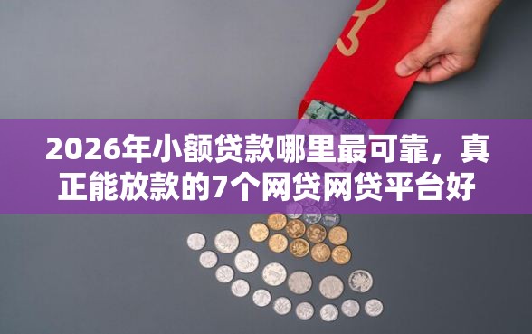 2026年小额贷款哪里最可靠，真正能放款的7个网贷网贷平台好借款推荐