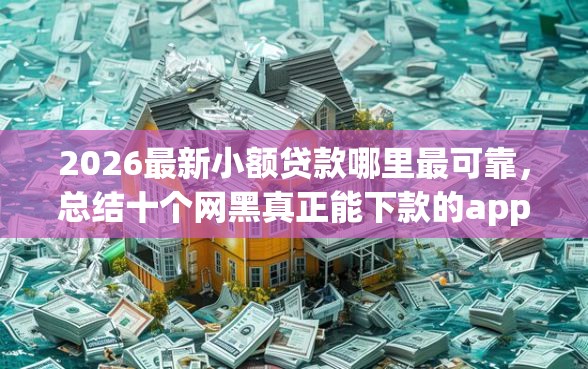 2026最新小额贷款哪里最可靠，总结十个网黑真正能下款的app！