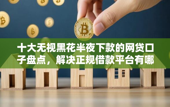 十大无视黑花半夜下款的网贷口子盘点，解决正规借款平台有哪些的问题