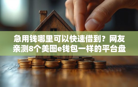 急用钱哪里可以快速借到?网友亲测8个美图e钱包一样的平台盘点 急用钱哪里可以快速借到?网友亲测8个美图e钱包一样的平台盘点