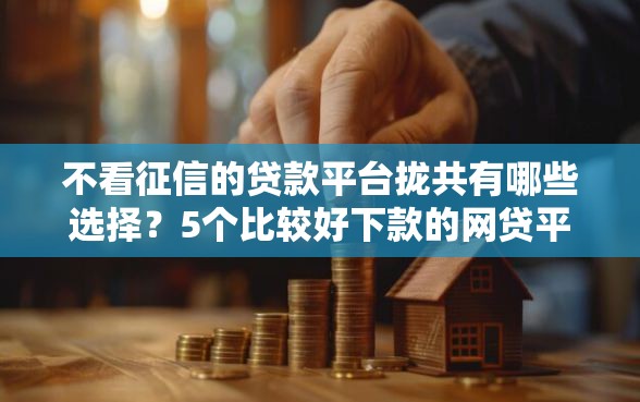 不看征信的贷款平台拢共有哪些选择？5个比较好下款的网贷平台详解