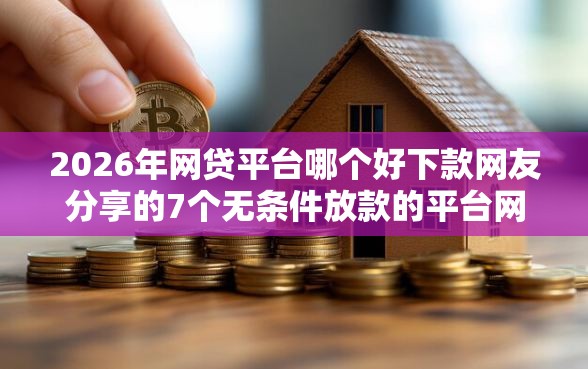 2026年网贷平台哪个好下款网友分享的7个无条件放款的平台网站我觉得不错！