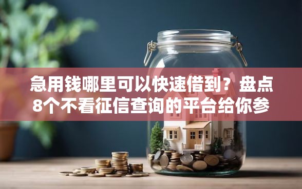 急用钱哪里可以快速借到？盘点8个不看征信查询的平台给你参考