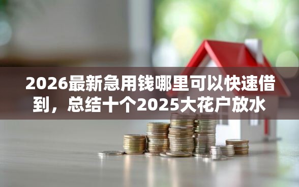 2026最新急用钱哪里可以快速借到，总结十个2025大花户放水秒下款的口子！