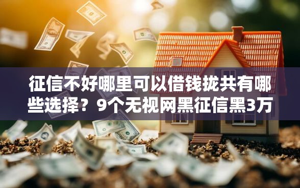 征信不好哪里可以借钱拢共有哪些选择？9个无视网黑征信黑3万贷款详解