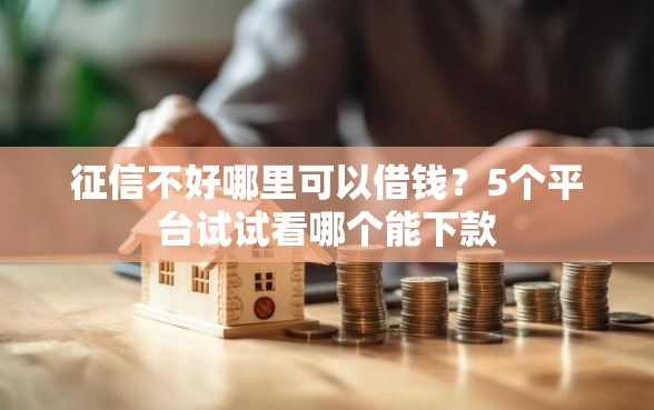 征信不好哪里可以借钱?5个平台试试看哪个能下款 征信不好哪里可以借钱?5个平台试试看哪个能下款
