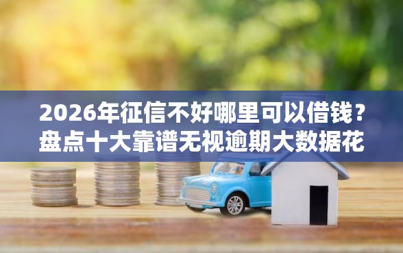 2026年征信不好哪里可以借钱？盘点十大靠谱无视逾期大数据花户黑户口子