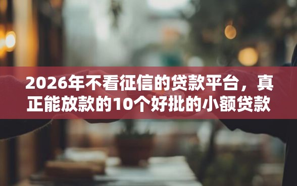 2026年不看征信的贷款平台，真正能放款的10个好批的小额贷款平台推荐