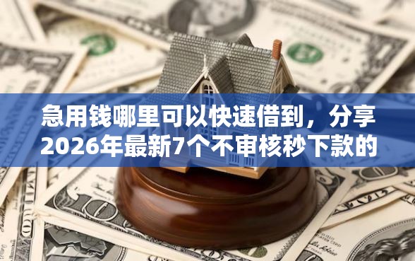 急用钱哪里可以快速借到，分享2026年最新7个不审核秒下款的高炮口子