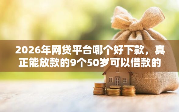 2026年网贷平台哪个好下款,真正能放款的9个50岁可以借款的网贷平台推荐 2026年网贷平台哪个好下款,真正能放款的9个50岁可以借款的网贷平台推荐
