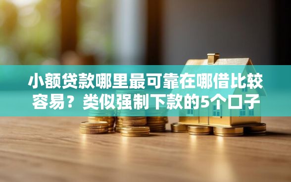 小额贷款哪里最可靠在哪借比较容易？类似强制下款的5个口子参考