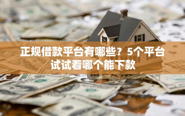 正规借款平台有哪些？5个平台试试看哪个能下款
