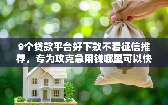 9个贷款平台好下款不看征信推荐，专为攻克急用钱哪里可以快速借到难题