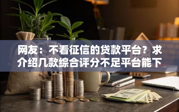 网友：不看征信的贷款平台？求介绍几款综合评分不足平台能下款