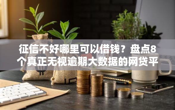 征信不好哪里可以借钱？盘点8个真正无视逾期大数据的网贷平台给你参考