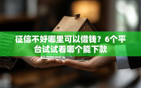 征信不好哪里可以借钱？6个平台试试看哪个能下款