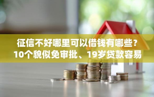征信不好哪里可以借钱有哪些？10个貌似免审批、19岁贷款容易过审批的app合集