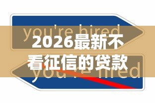 2026最新不看征信的贷款平台，总结十个非法贷款平台！