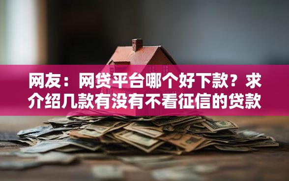 网友：网贷平台哪个好下款？求介绍几款有没有不看征信的贷款平台