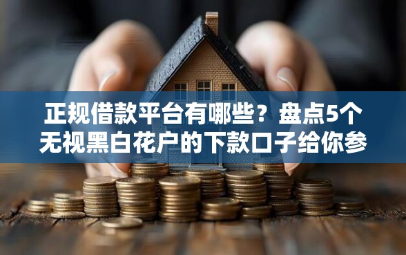 正规借款平台有哪些？盘点5个无视黑白花户的下款口子给你参考
