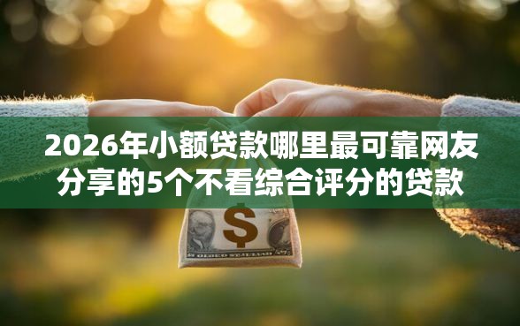 2026年小额贷款哪里最可靠网友分享的5个不看综合评分的贷款平台我觉得不错！