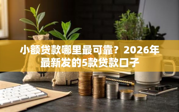 小额贷款哪里最可靠？2026年最新发的5款贷款口子