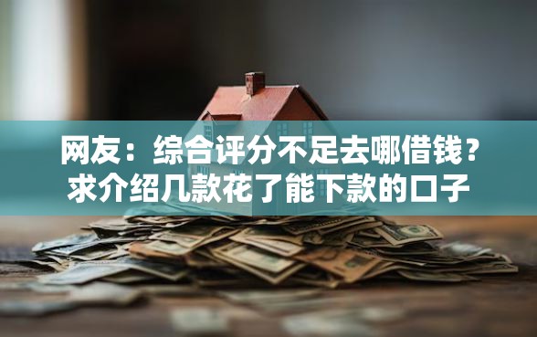 网友：综合评分不足去哪借钱？求介绍几款花了能下款的口子