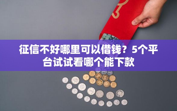 征信不好哪里可以借钱？5个平台试试看哪个能下款