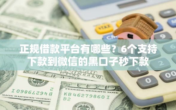 正规借款平台有哪些？6个支持下款到微信的黑口子秒下款