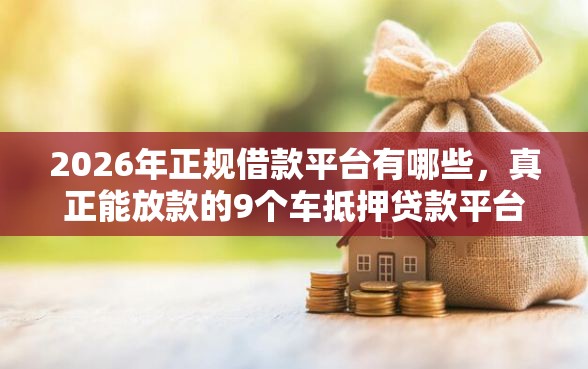 2026年正规借款平台有哪些，真正能放款的9个车抵押贷款平台好推荐