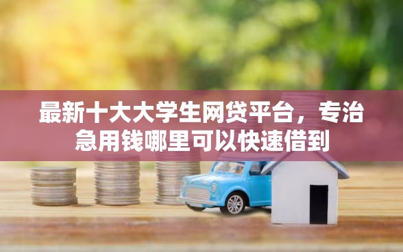 最新十大大学生网贷平台，专治急用钱哪里可以快速借到