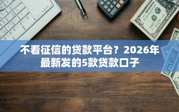不看征信的贷款平台？2026年最新发的5款贷款口子