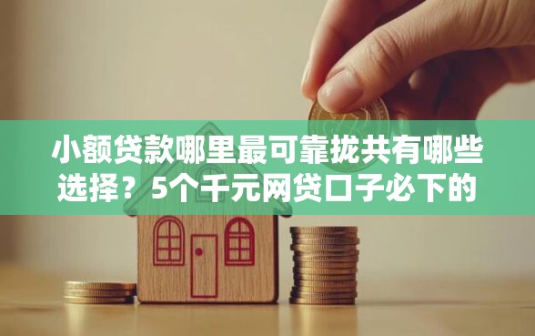 小额贷款哪里最可靠拢共有哪些选择？5个千元网贷口子必下的详解