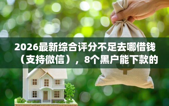2026最新综合评分不足去哪借钱（支持微信），8个黑户能下款的app口子下载无私分享