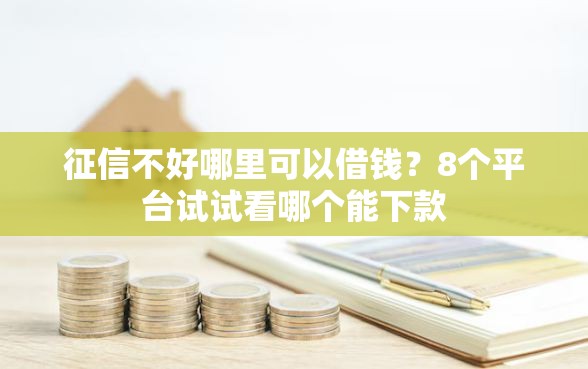 征信不好哪里可以借钱？8个平台试试看哪个能下款